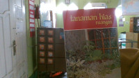Image of Tanaman Hias Ruangan